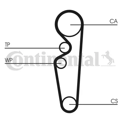 Timing Belt
